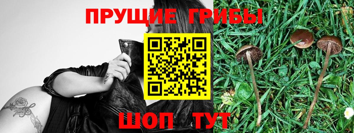 Еманжелинск  Псилоцибиновые грибы MAGIC MUSHROOMS  Вход с VPN  Псилоцибиновые грибы ЛСД 