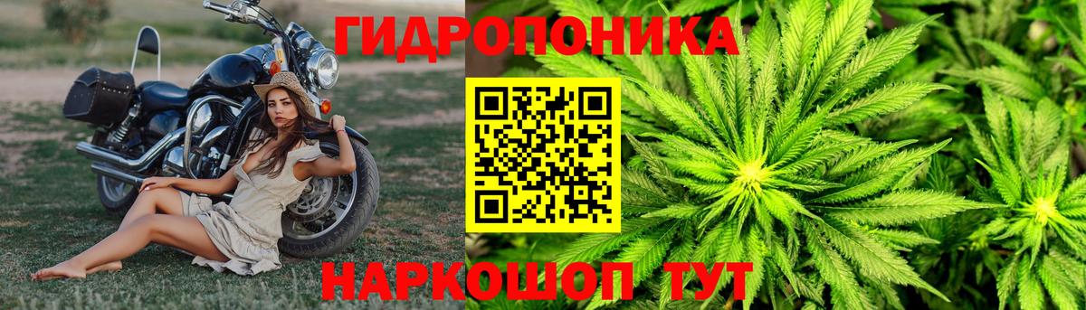 Бошки Шишки THC 21%  Канабис THC 21%  Каннабис MAZAR  Еманжелинск  Вход с VPN 